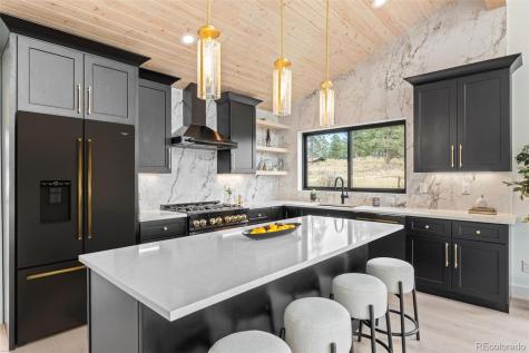 542 Conifer Drive Bailey CO 80421