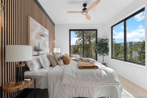 542 Conifer Drive Bailey CO 80421