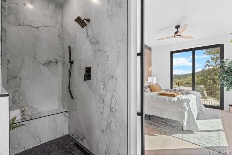 542 Conifer Drive Bailey CO 80421