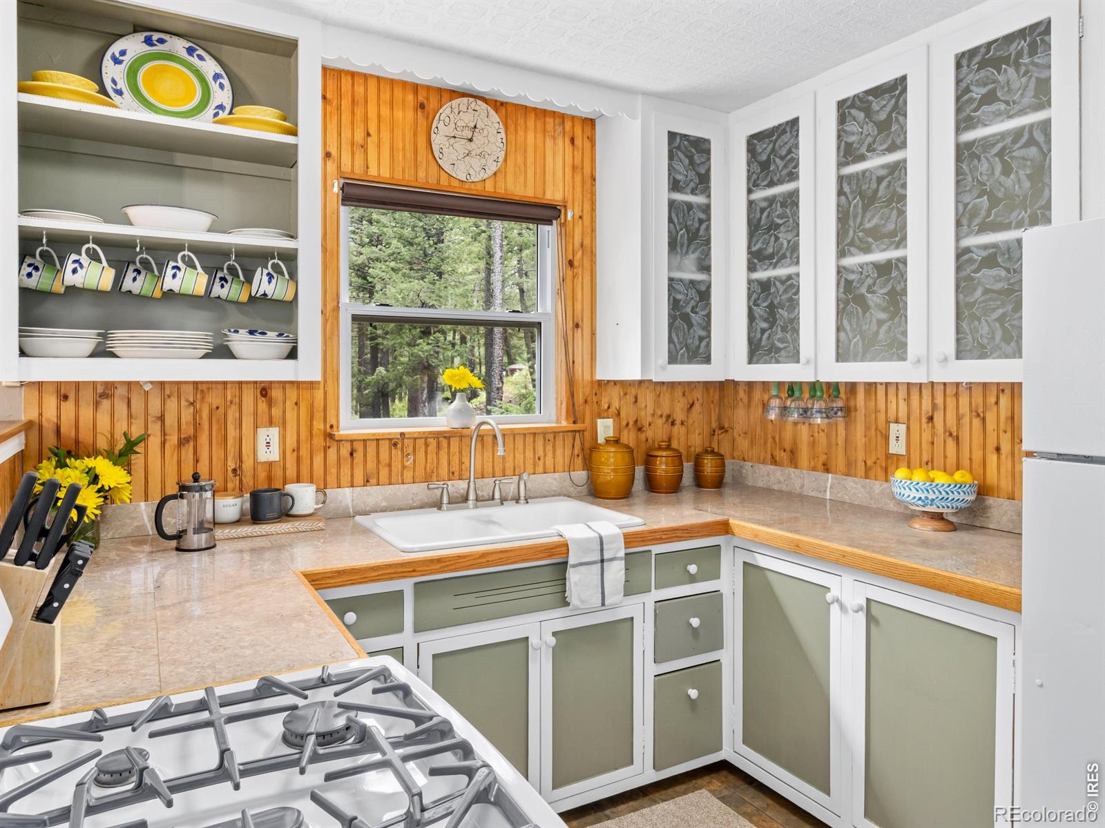 745 Hickory Drive Lyons CO 80540