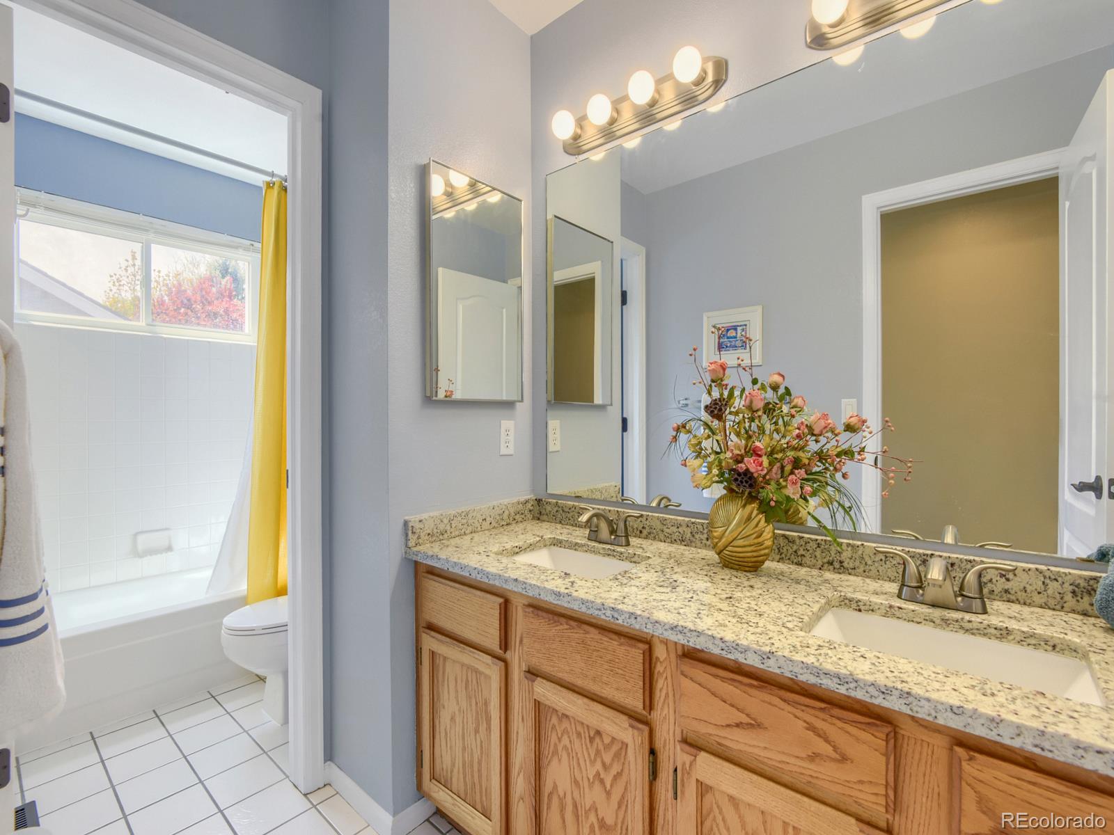 10323 Tracery Court Parker CO 80134