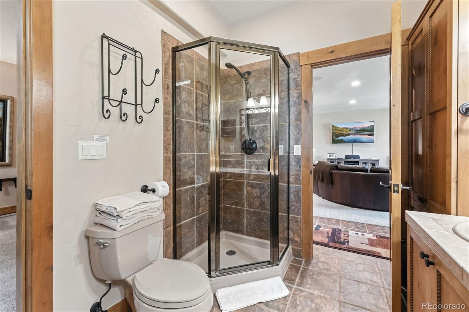 1730 Red Hawk Road Silverthorne CO 80498