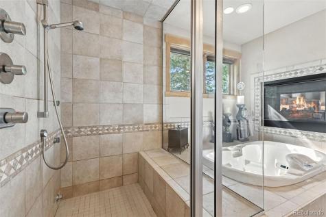 1730 Red Hawk Road Silverthorne CO 80498