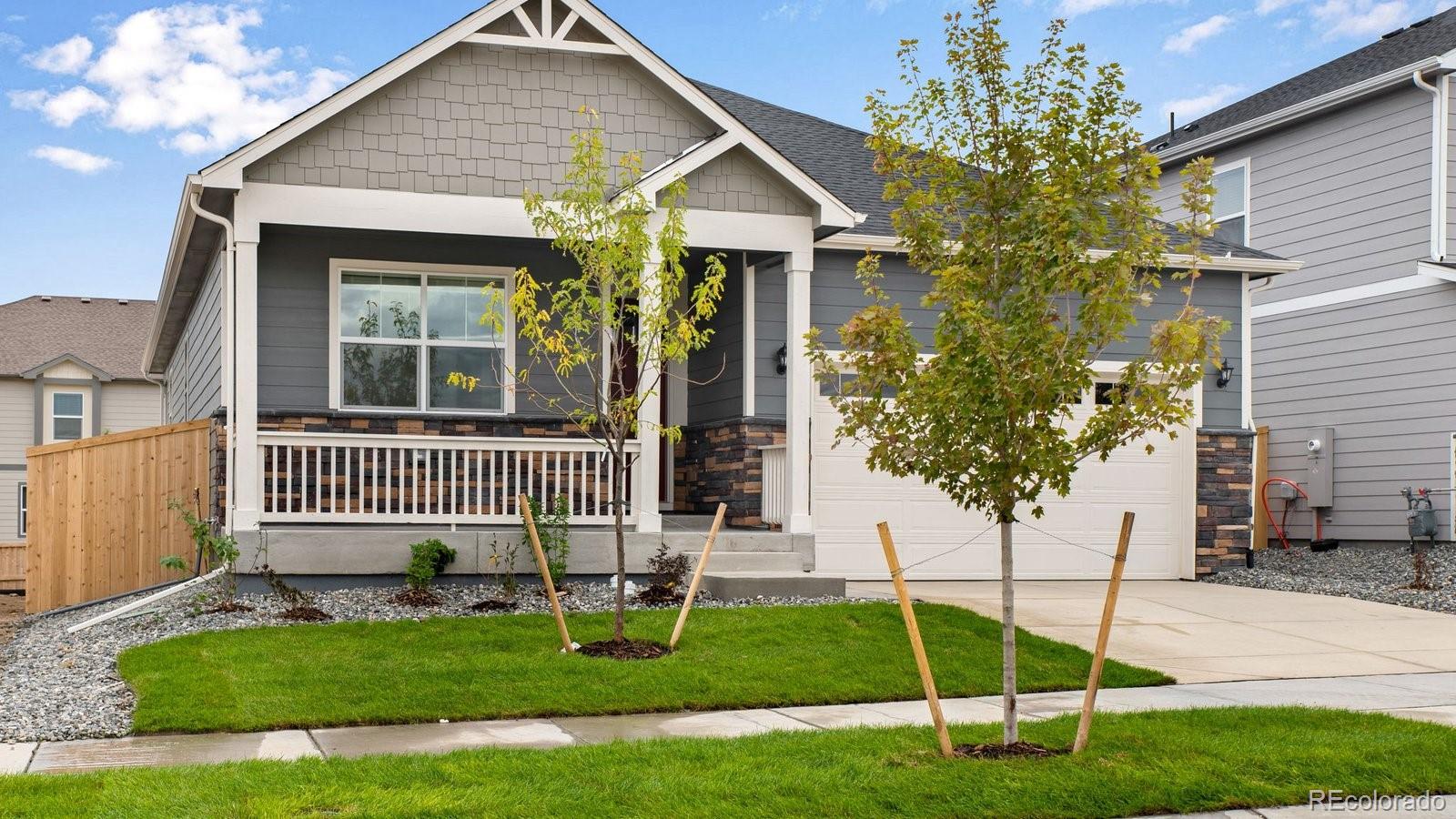 14234 Beebalm Avenue Parker CO 80134