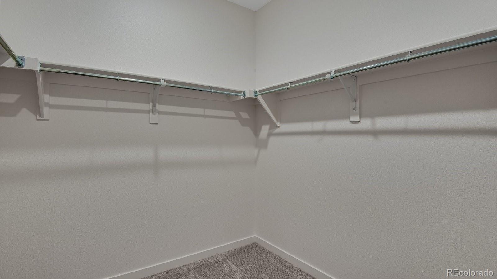 14234 Beebalm Avenue Parker CO 80134