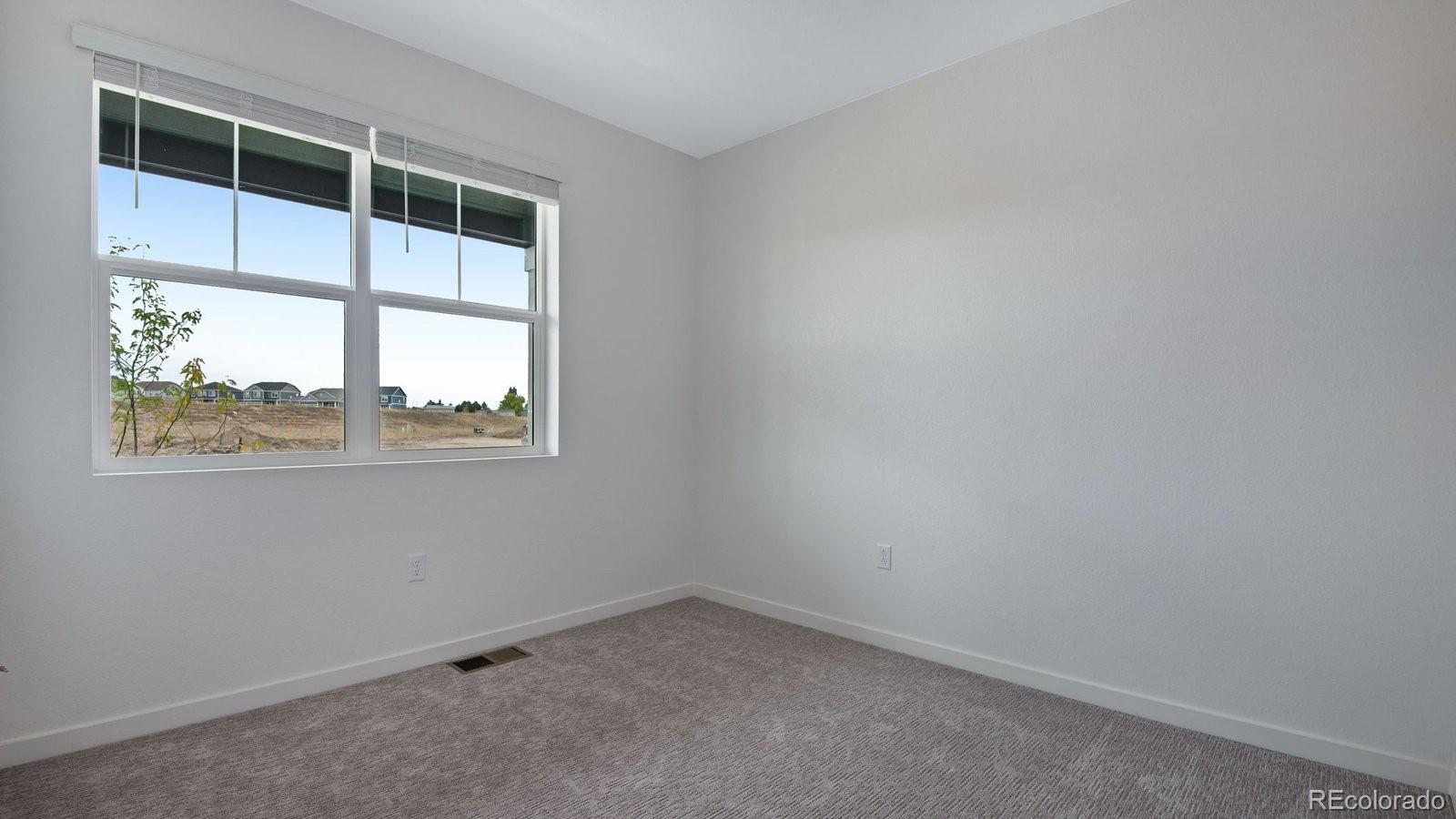 14234 Beebalm Avenue Parker CO 80134