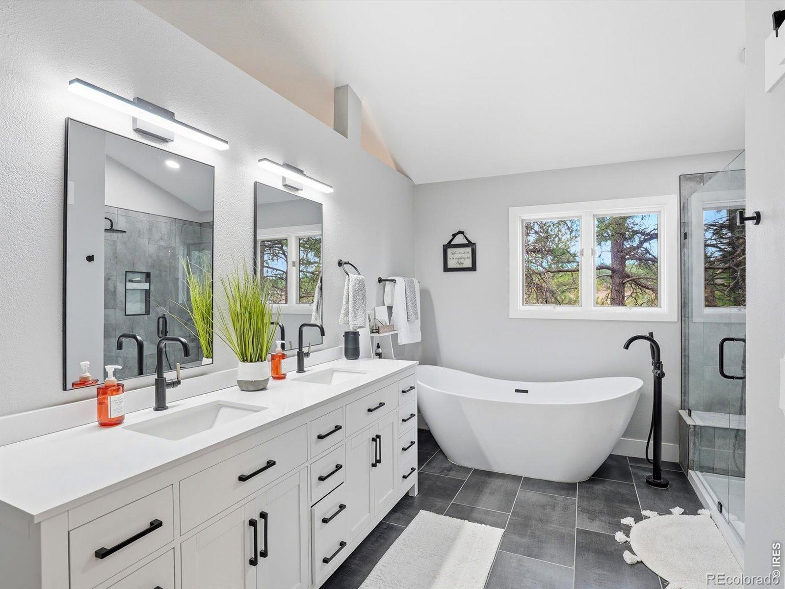 8987 Village Pines Circle Franktown CO 80116