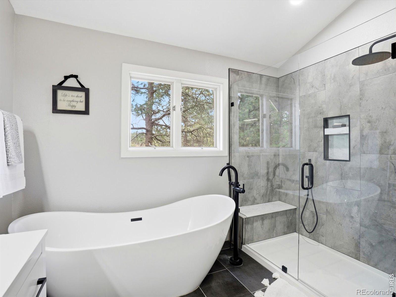 8987 Village Pines Circle Franktown CO 80116