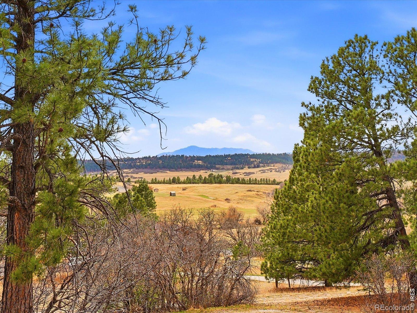 8987 Village Pines Circle Franktown CO 80116