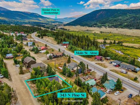 343 N Pine Street Alma CO 80420
