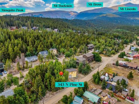 343 N Pine Street Alma CO 80420
