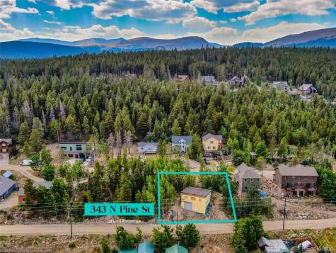 343 N Pine Street Alma CO 80420