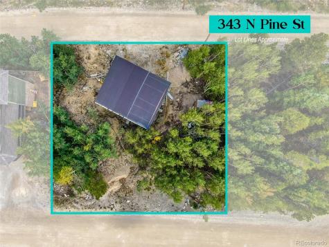 343 N Pine Street Alma CO 80420