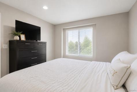 1558 Sorenson Drive Windsor CO 80550