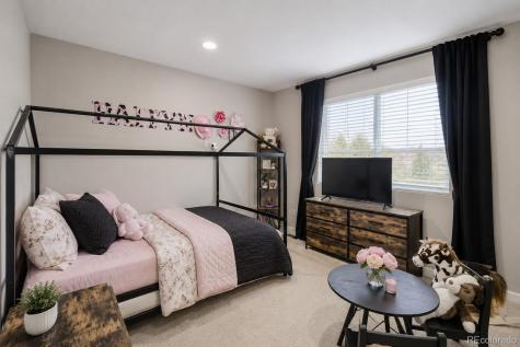 1558 Sorenson Drive Windsor CO 80550