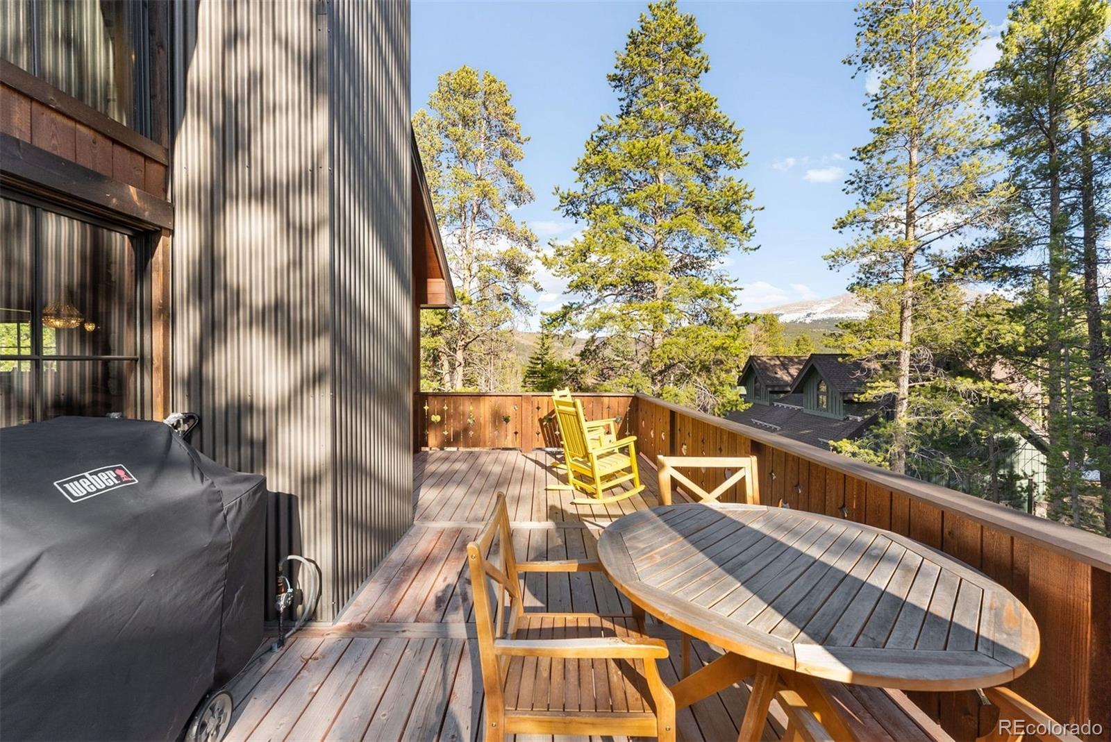 115 Willow Lane Breckenridge CO 80424