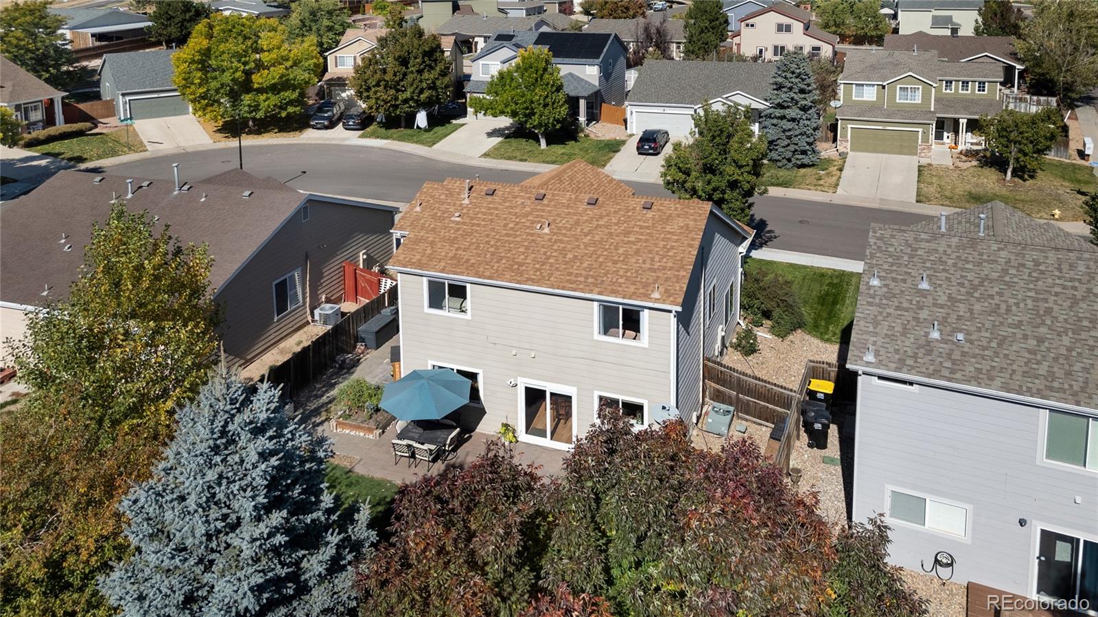 4888 Thorndike Avenue Castle Rock CO 80104