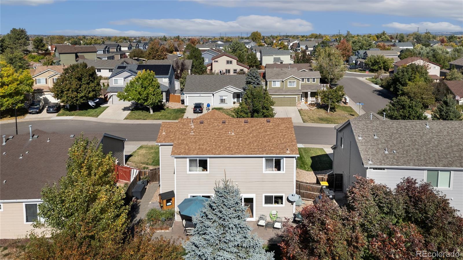 4888 Thorndike Avenue Castle Rock CO 80104