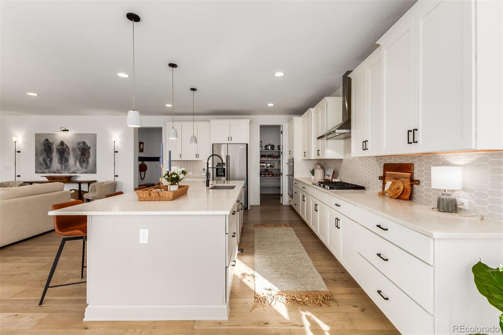 11101 Bright Sky Street Littleton CO 80125