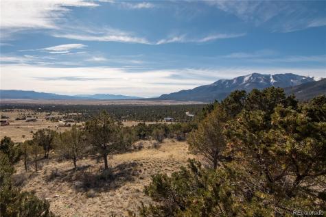 30596 Overlook Run Buena Vista CO 81211