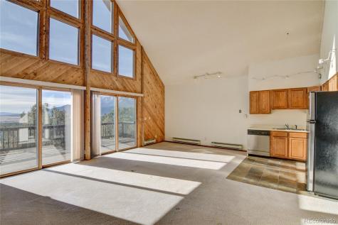 30596 Overlook Run Buena Vista CO 81211
