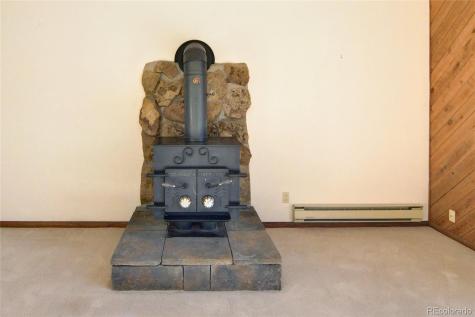 30596 Overlook Run Buena Vista CO 81211