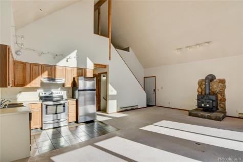 30596 Overlook Run Buena Vista CO 81211