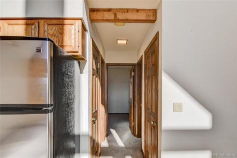 30596 Overlook Run Buena Vista CO 81211