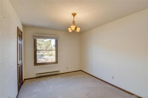 30596 Overlook Run Buena Vista CO 81211