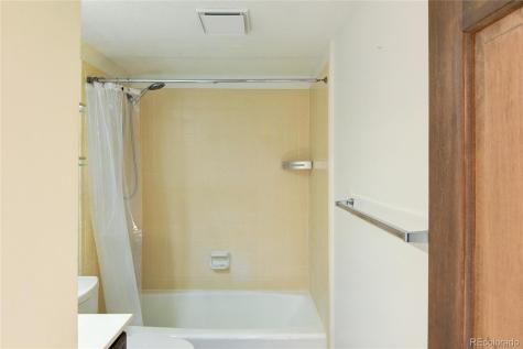 30596 Overlook Run Buena Vista CO 81211