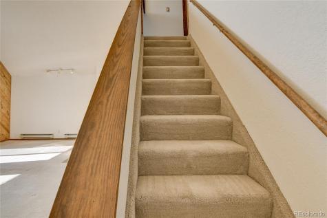 30596 Overlook Run Buena Vista CO 81211