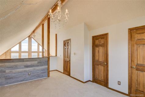 30596 Overlook Run Buena Vista CO 81211