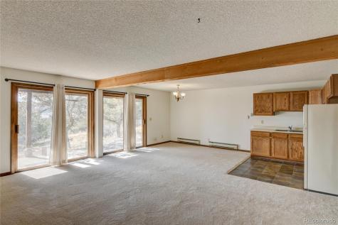 30596 Overlook Run Buena Vista CO 81211