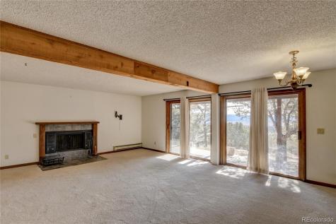 30596 Overlook Run Buena Vista CO 81211