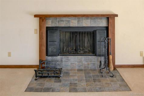 30596 Overlook Run Buena Vista CO 81211