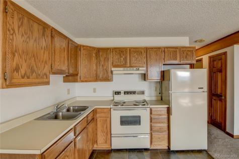 30596 Overlook Run Buena Vista CO 81211