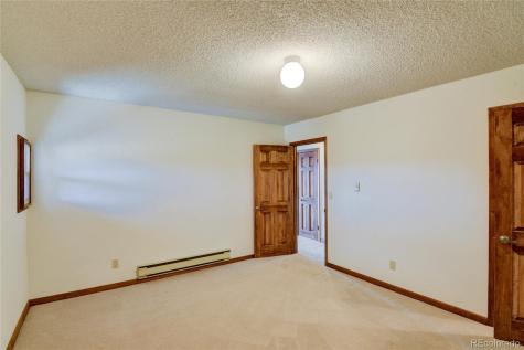 30596 Overlook Run Buena Vista CO 81211