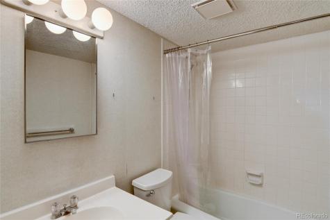 30596 Overlook Run Buena Vista CO 81211