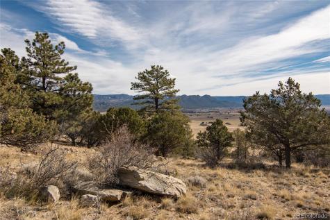 30596 Overlook Run Buena Vista CO 81211