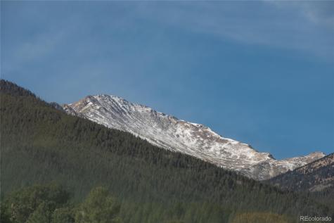 30596 Overlook Run Buena Vista CO 81211