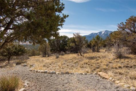 30596 Overlook Run Buena Vista CO 81211