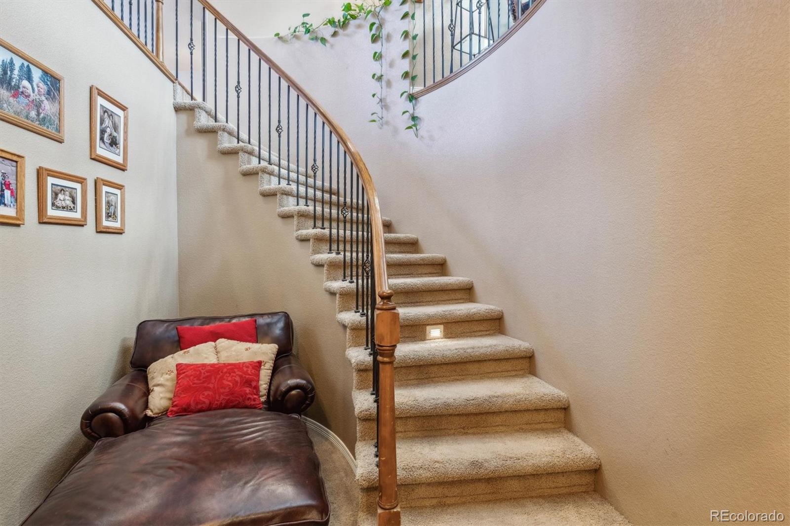 10834 Bobcat Terrace Lone Tree CO 80124