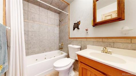 92 Four Bits Street Bailey CO 80421