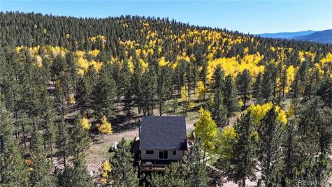 92 Four Bits Street Bailey CO 80421