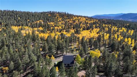 92 Four Bits Street Bailey CO 80421