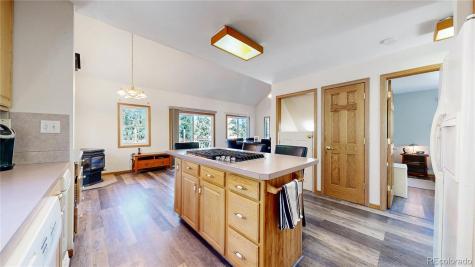 92 Four Bits Street Bailey CO 80421