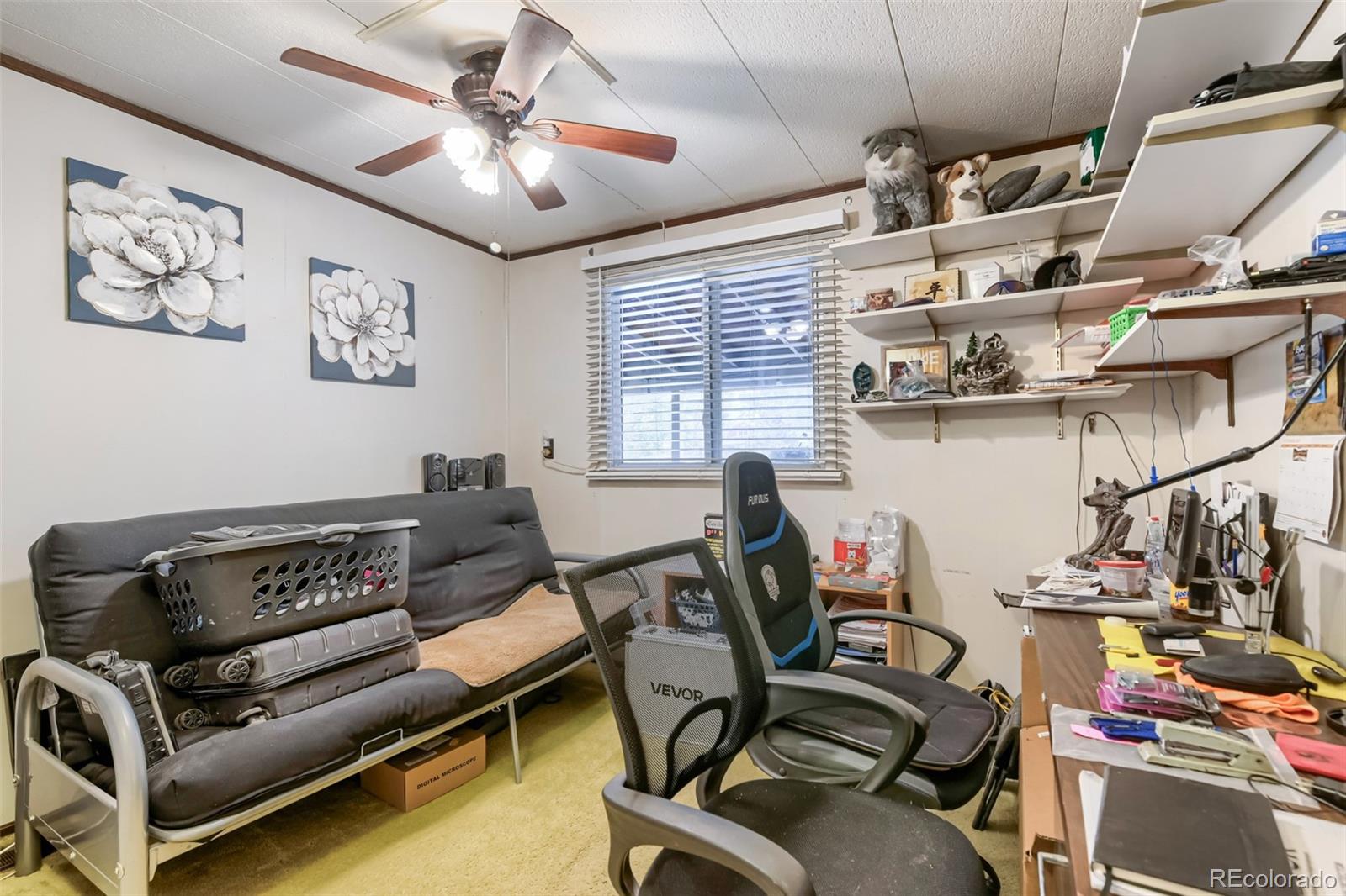 329 Glen Creighton Drive Dacono CO 80514