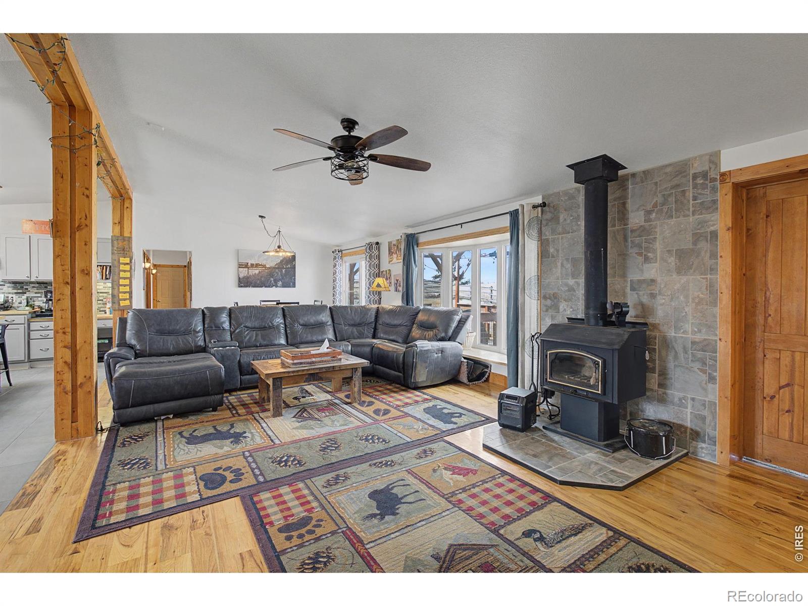 223 Timber Drive Livermore CO 80536