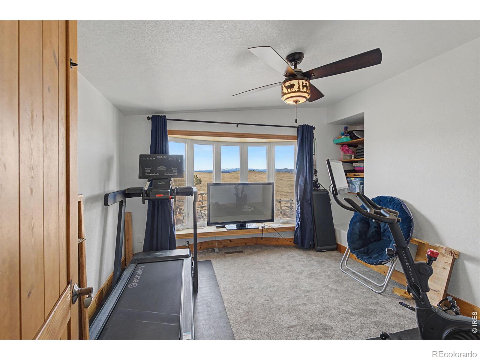 223 Timber Drive Livermore CO 80536