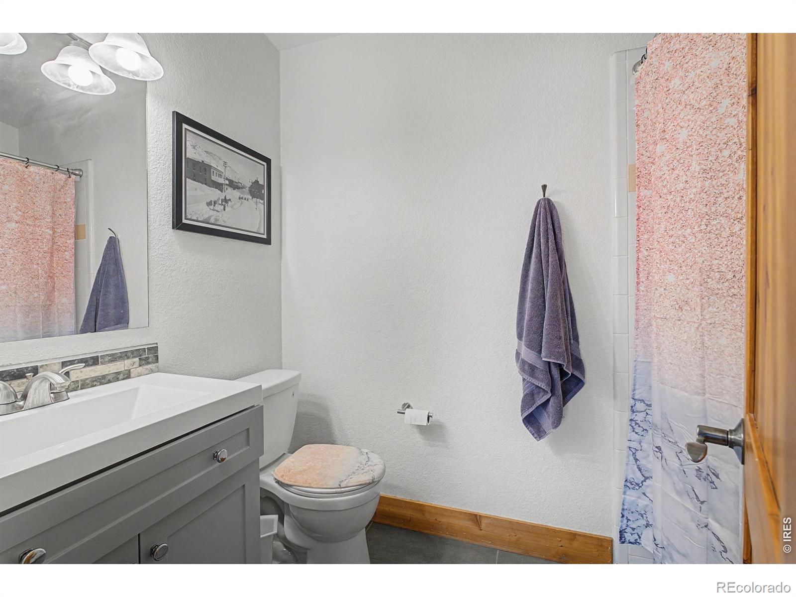 223 Timber Drive Livermore CO 80536